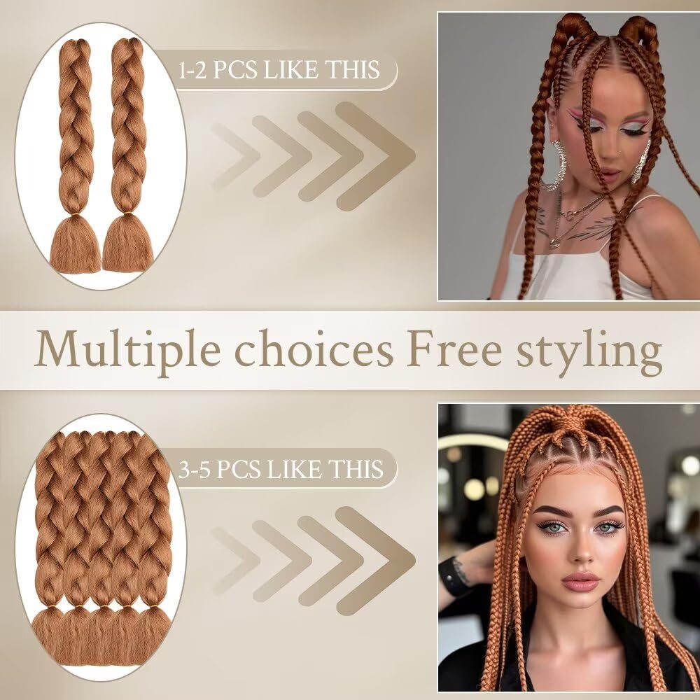 ShowJarlly - Ombre Jumbo Braids 24