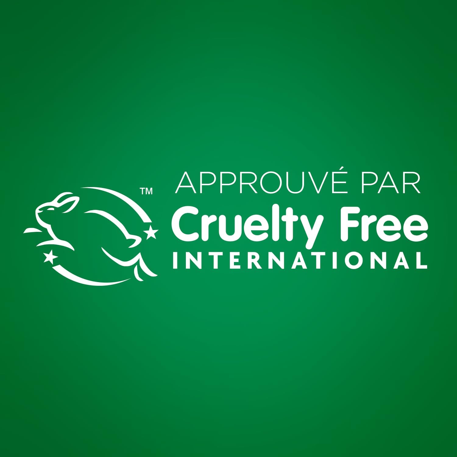 Garnier - Kit Ultra Blond Balayage - bonnet + crochet - mèches éclaircissantes