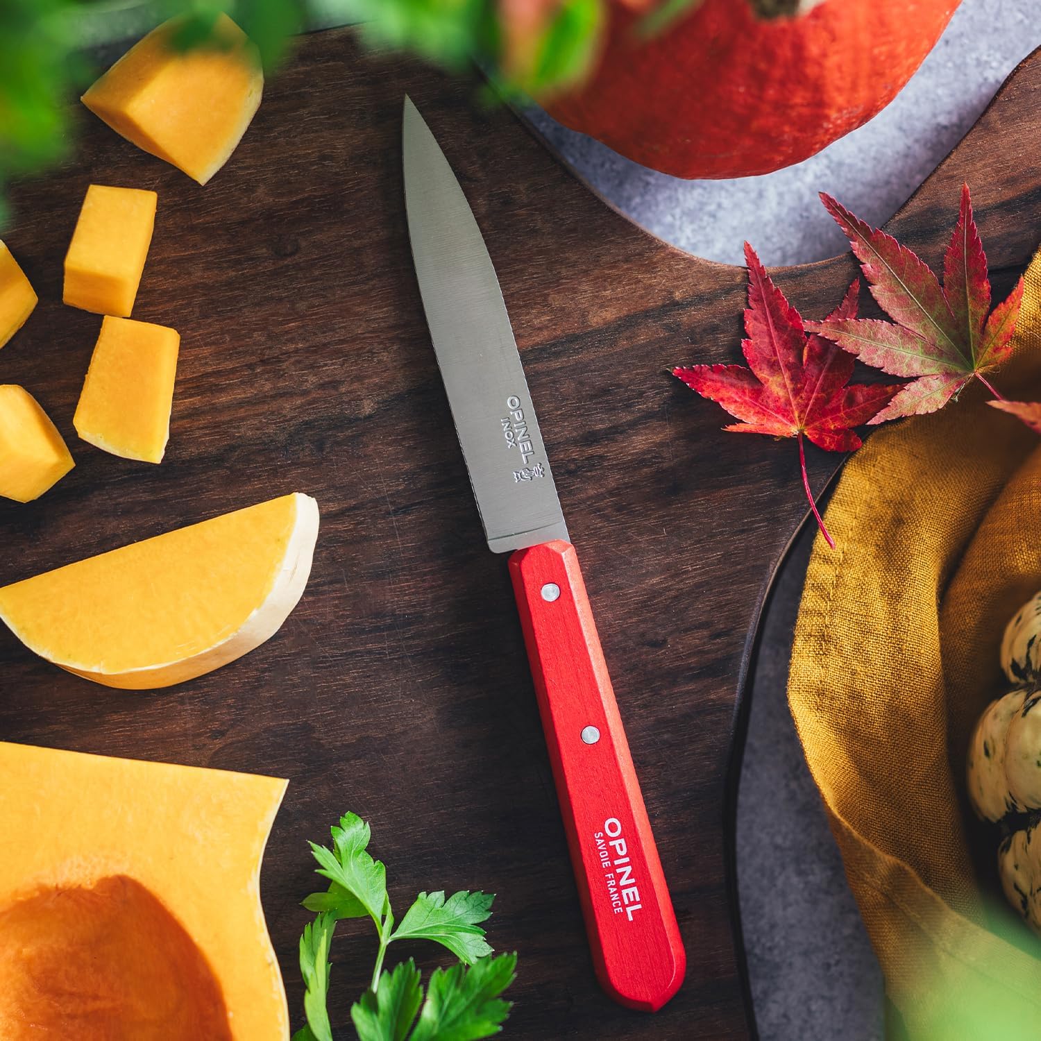 Opinel - Coffret 4 couteaux d’office N°112 - lame inox 10 cm - fabrication française