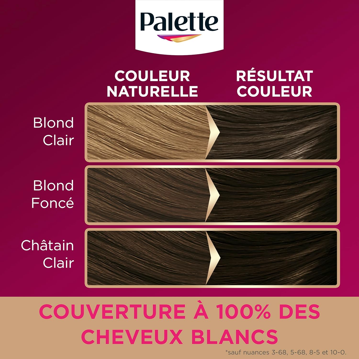 Palette - Intensive Coloration Permanente Cheveux, soin longue durée, couvre 100% cheveux blancs, Blond Terracotta 8.70