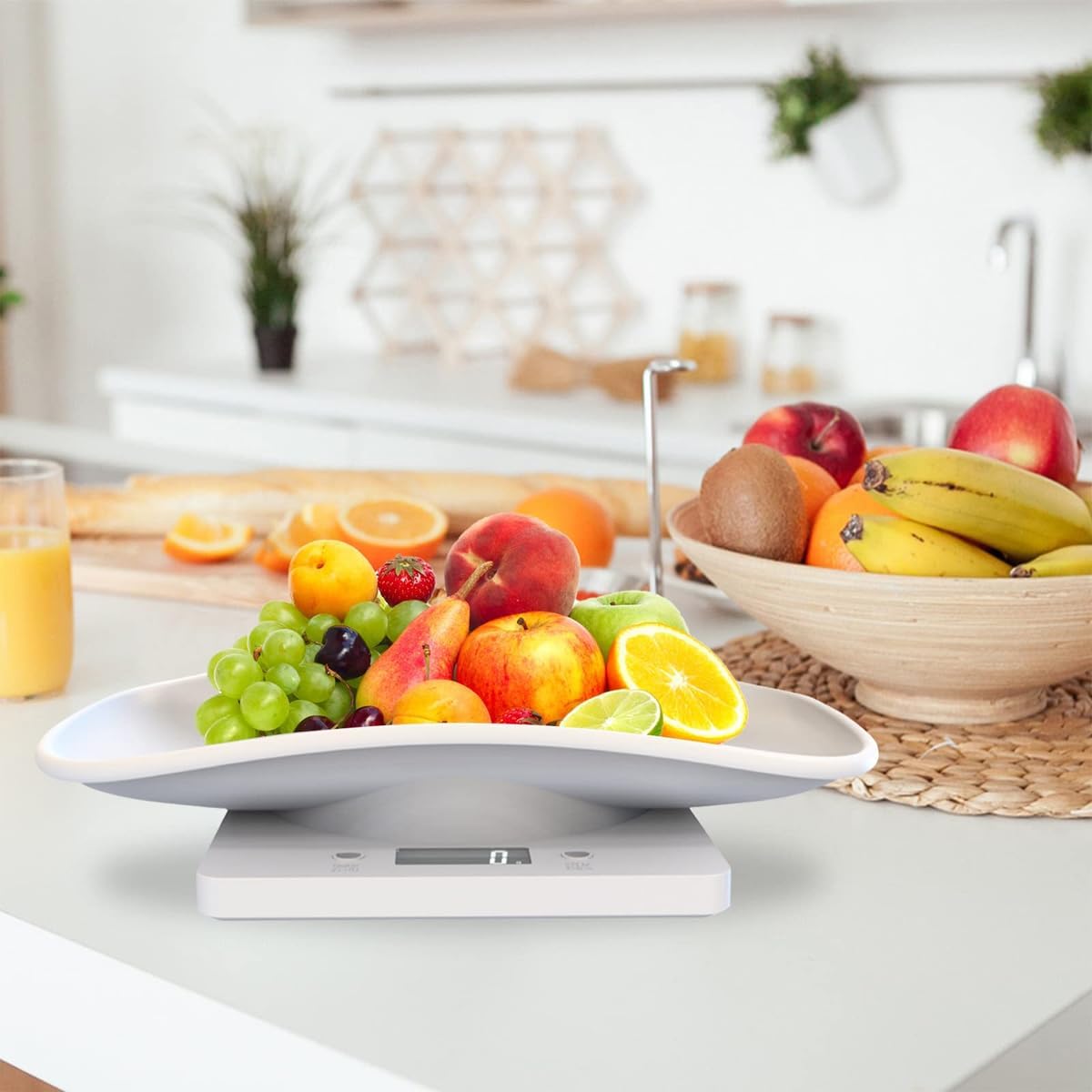 Balance numérique animaux - électronique, 10kg, mini format, cuisine