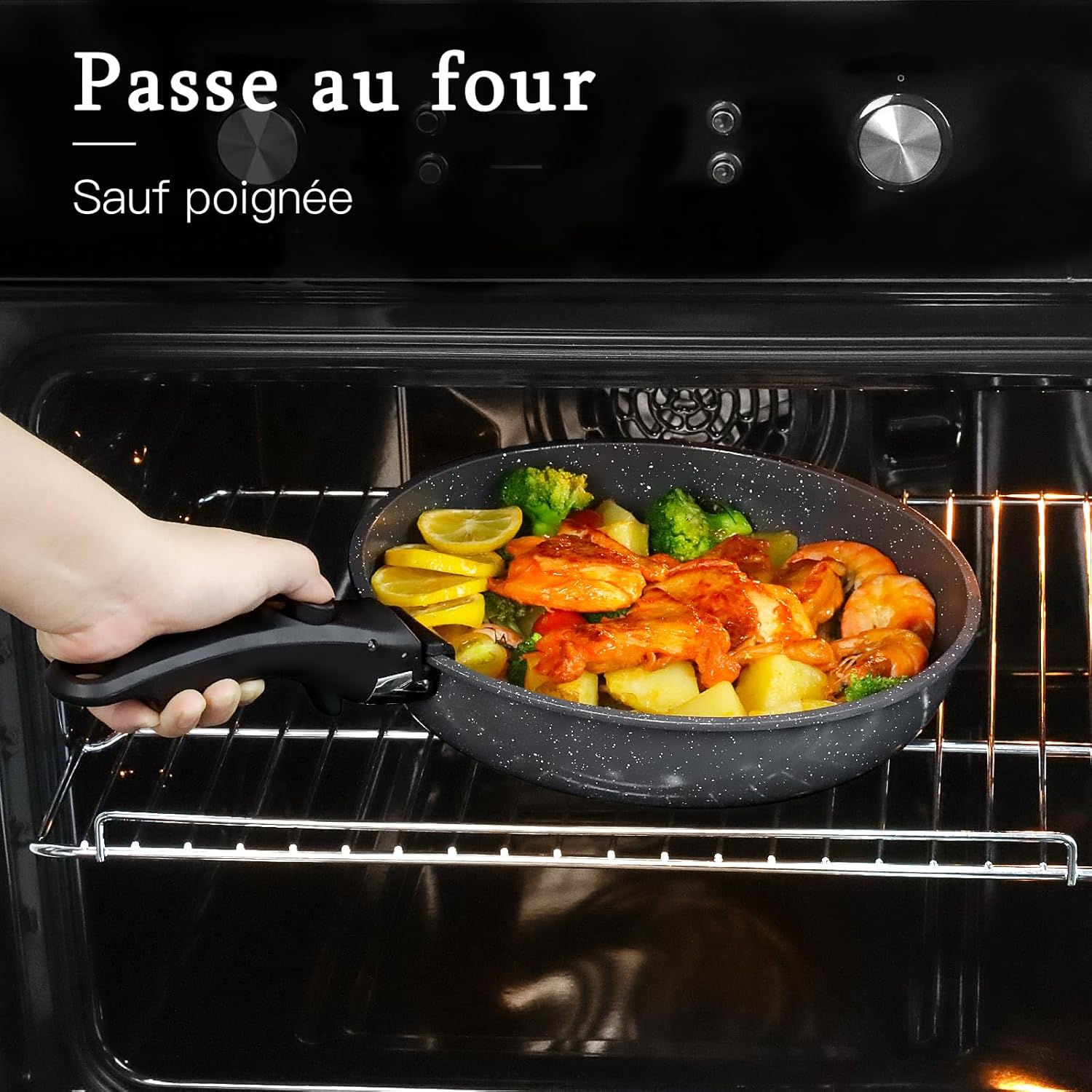 GiPP - Set de 21 pièces avec poignée amovible - induction, céramique, four - GIPP21SET