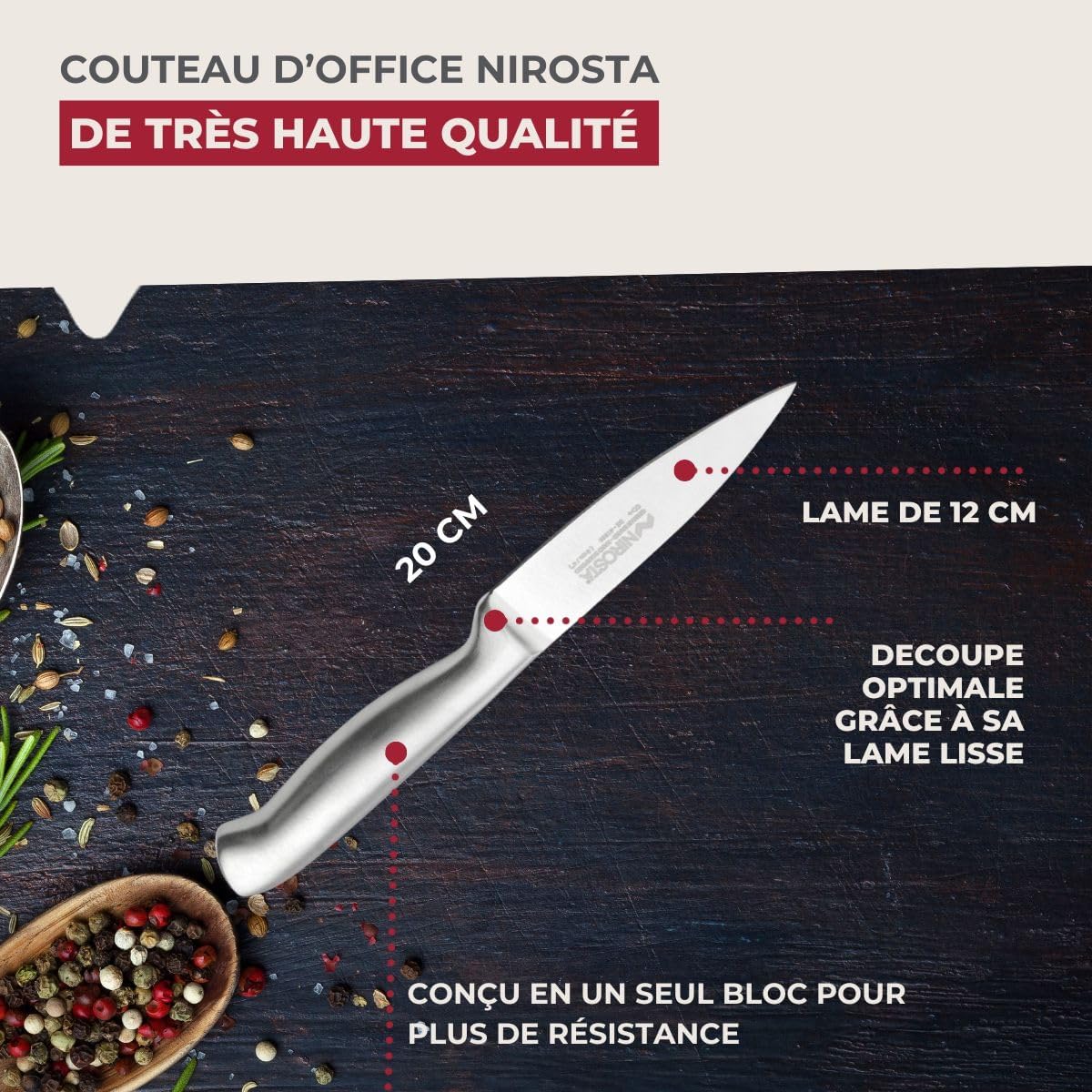 Nirosta - couteau de cuisine série 41836 - 20x2cm lame 8,5cm inox