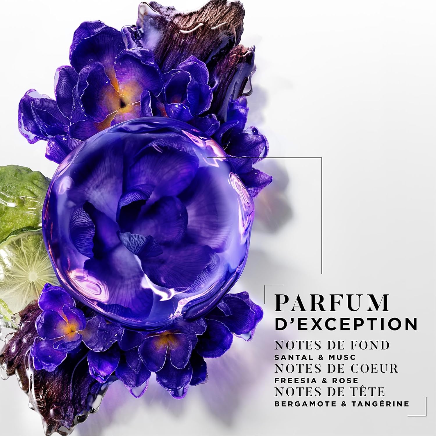 DESSANGE - Routine Nutri-Correctrice Cheveux Blonds - 280ml/140ml - Nutrition & Éclat