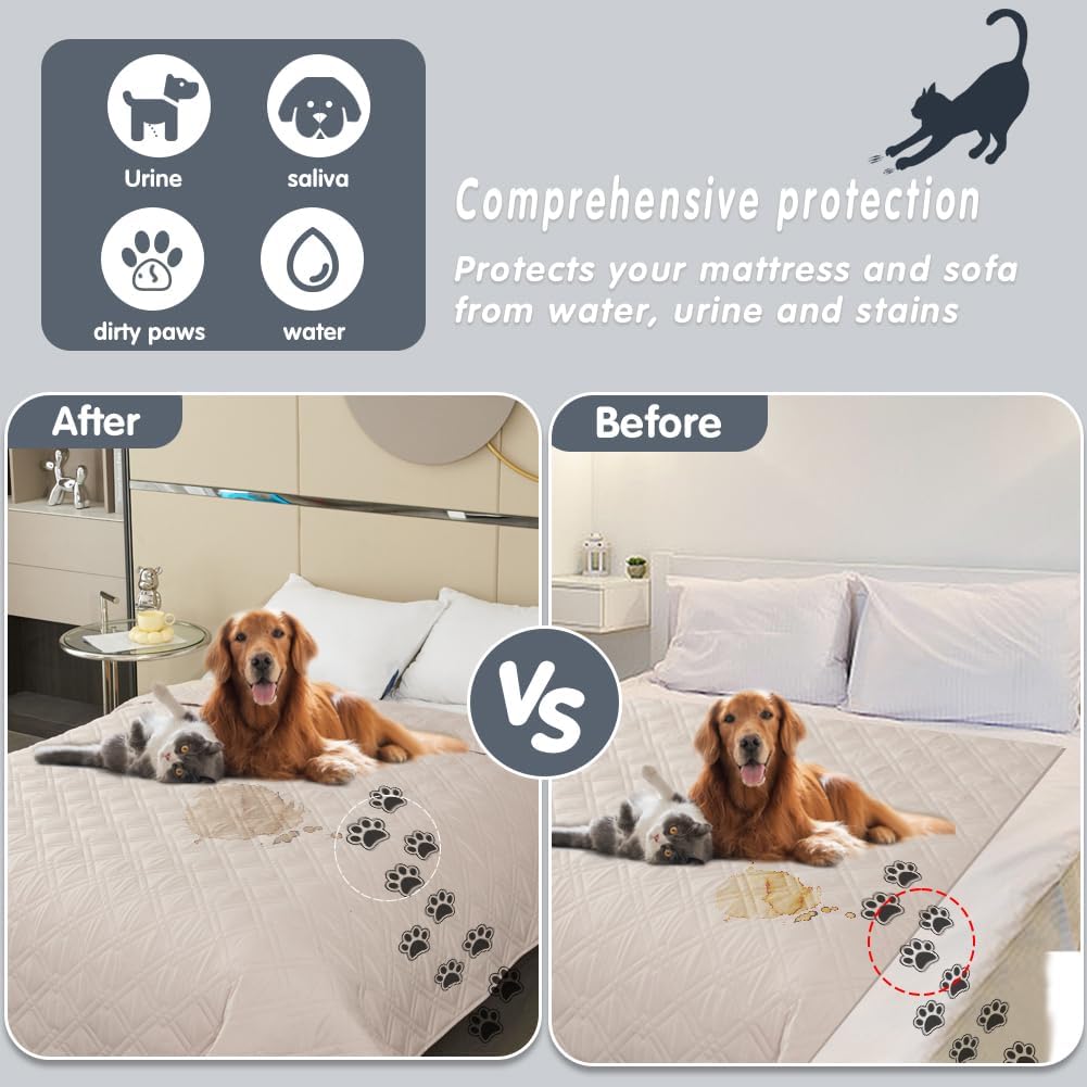 DUJUIKE - housse canapé imperméable antidérapante 173-208cm crème