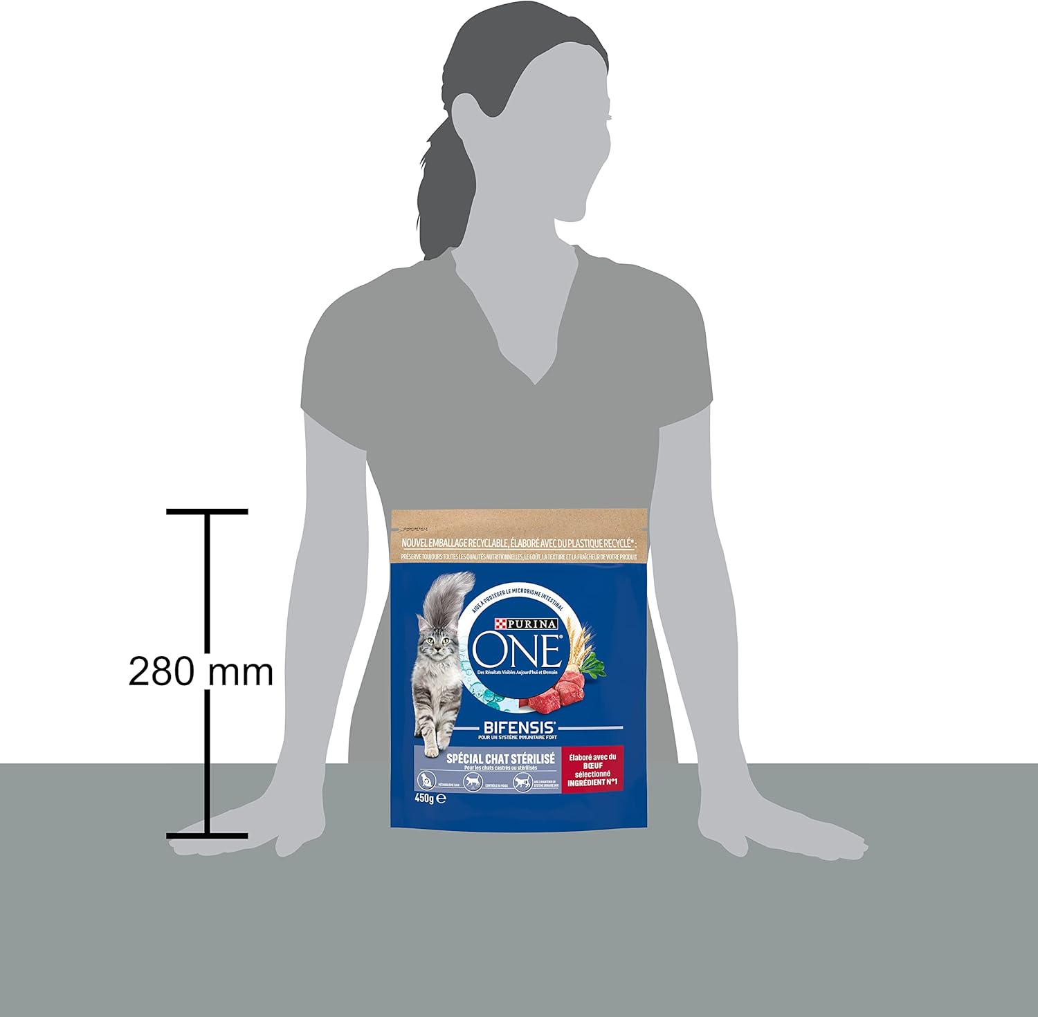 Purina One - Bifensis Chat Adulte - 10 x 450g - Immunité et urinaire sain