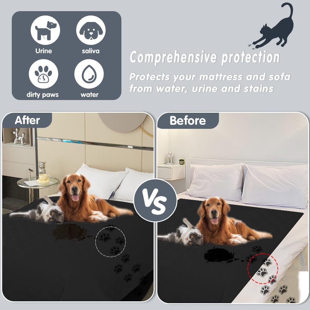 DUJUIKE - housse imperméable canapé - 173-208cm - base antidérapante, protection animaux DUJUIKE