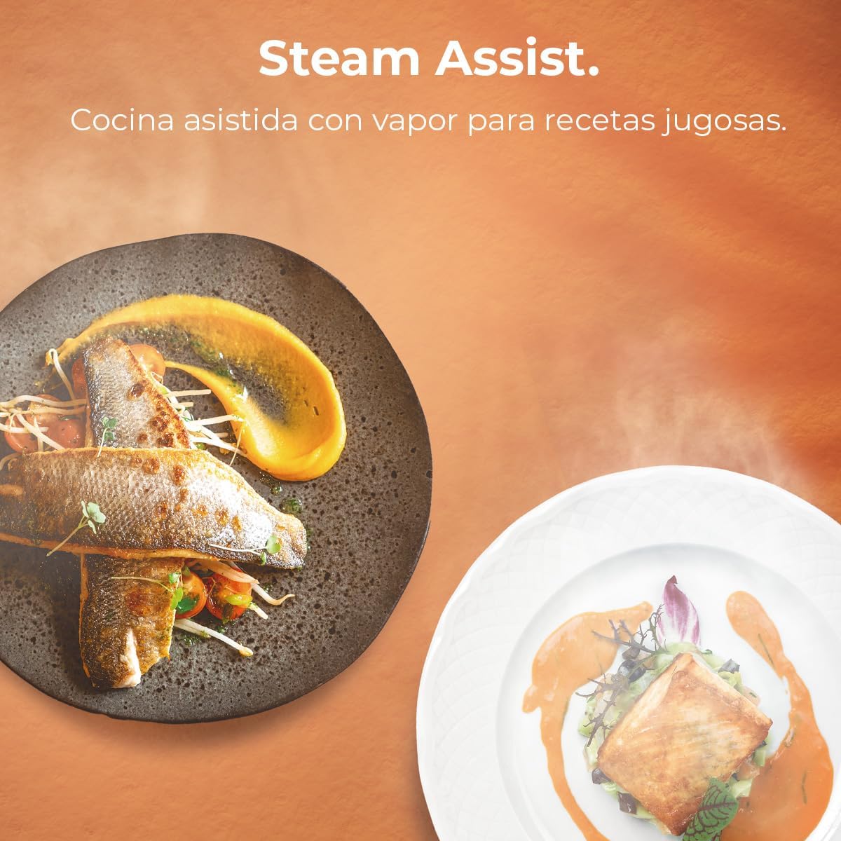 Cecotec - Four encastrable multifonctions 70L, 2800W, classe A, M236000