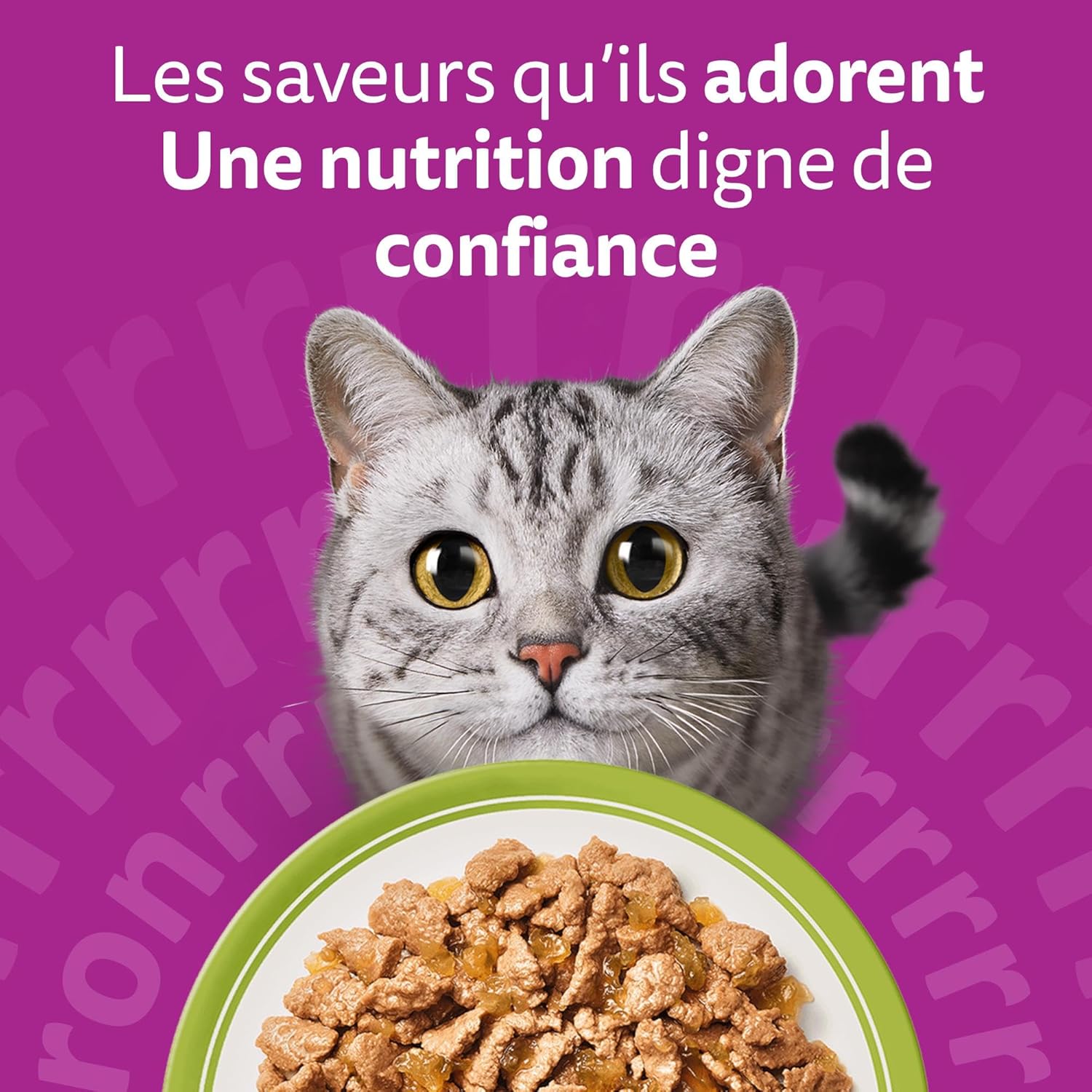Whiskas - La Carte Mixte - 84x85g - Aliment humide en gelée pour chats adultes