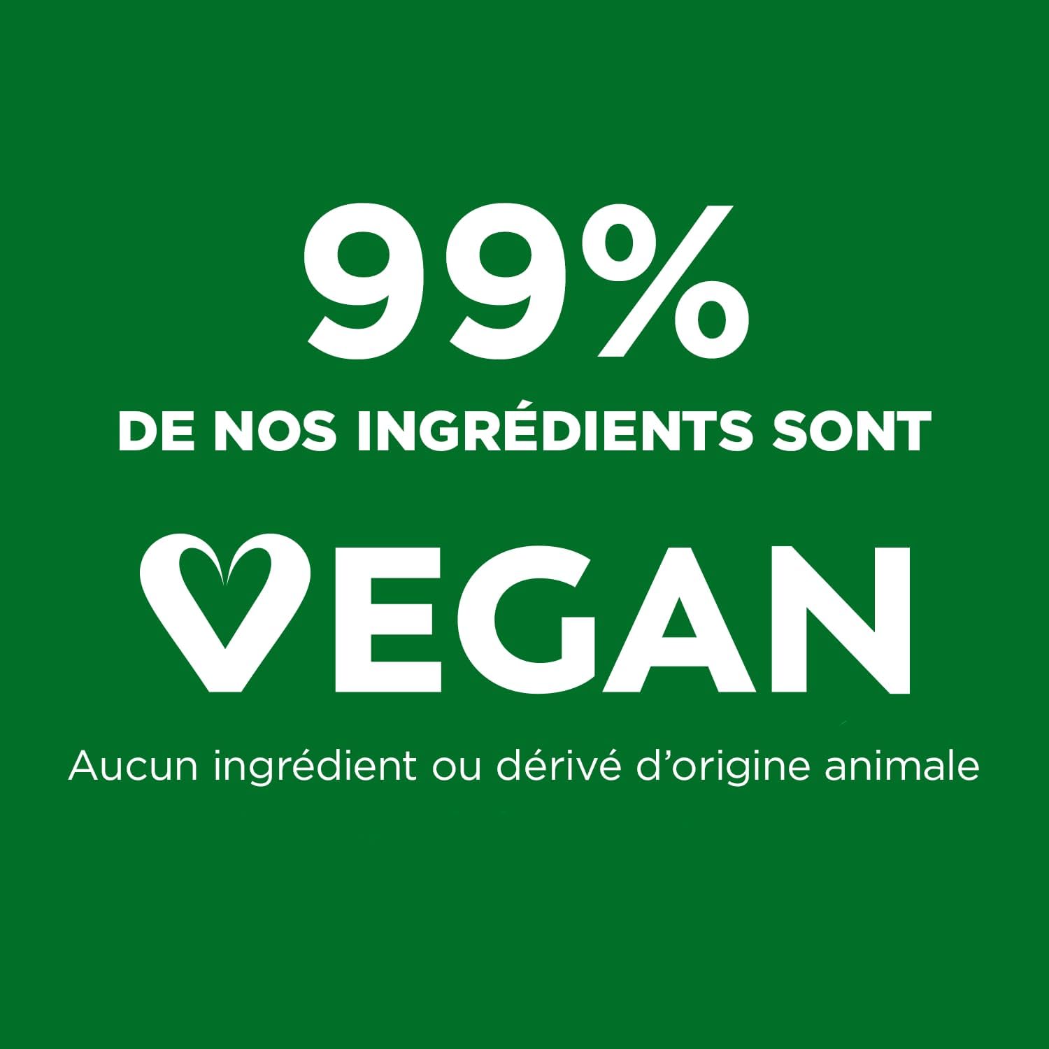 Garnier - Kit Ultra Blond Balayage - bonnet + crochet - mèches éclaircissantes